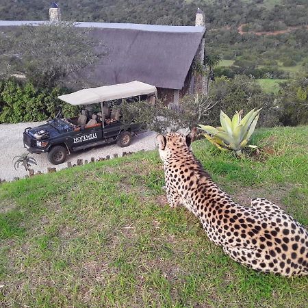 Hopewell Private Game Reserve Buyskloof Εξωτερικό φωτογραφία