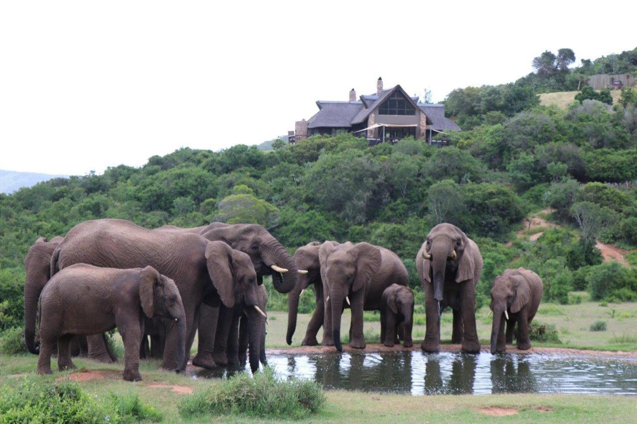 Hopewell Private Game Reserve Buyskloof Εξωτερικό φωτογραφία