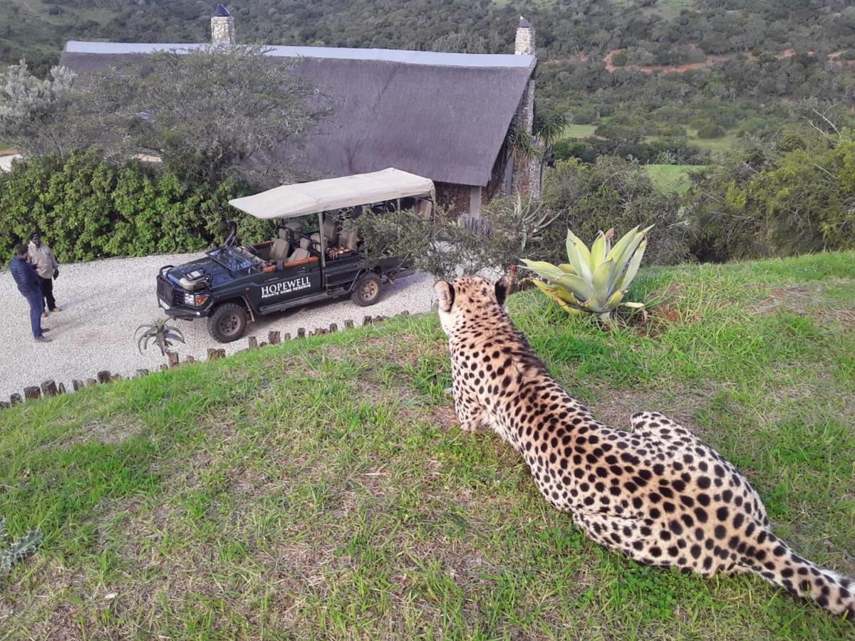 Hopewell Private Game Reserve Buyskloof Εξωτερικό φωτογραφία