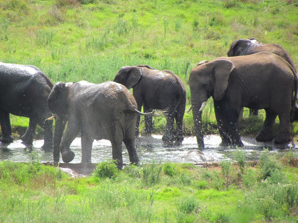 Hopewell Private Game Reserve Buyskloof Εξωτερικό φωτογραφία