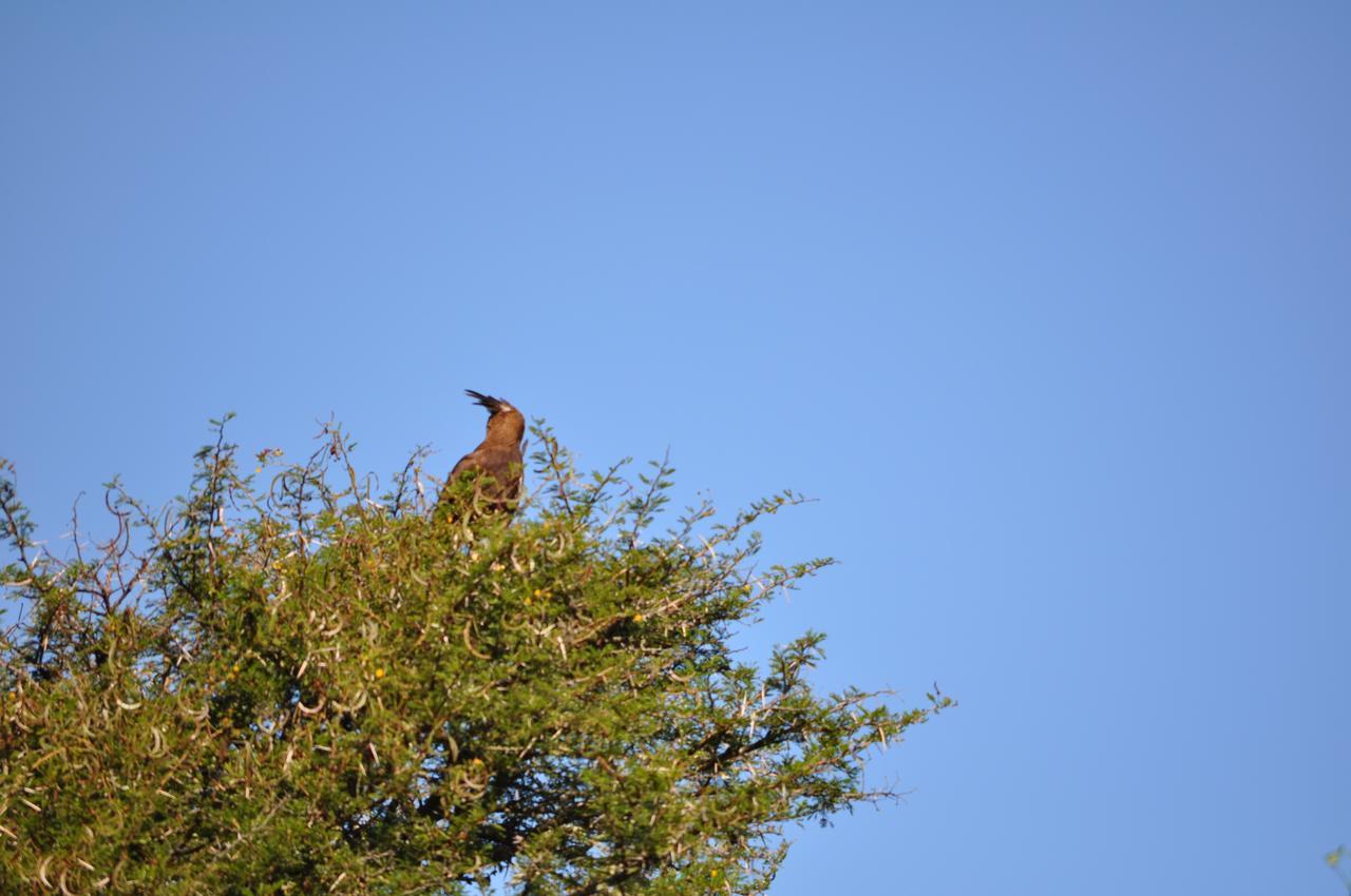 Hopewell Private Game Reserve Buyskloof Εξωτερικό φωτογραφία